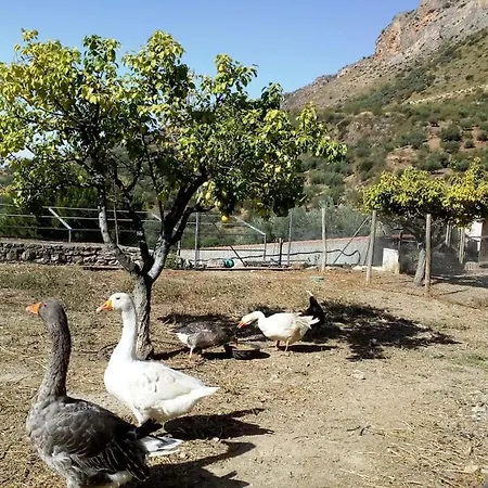 Ferienwohnung El Ventorrillo La Alegria Málaga Exterior foto